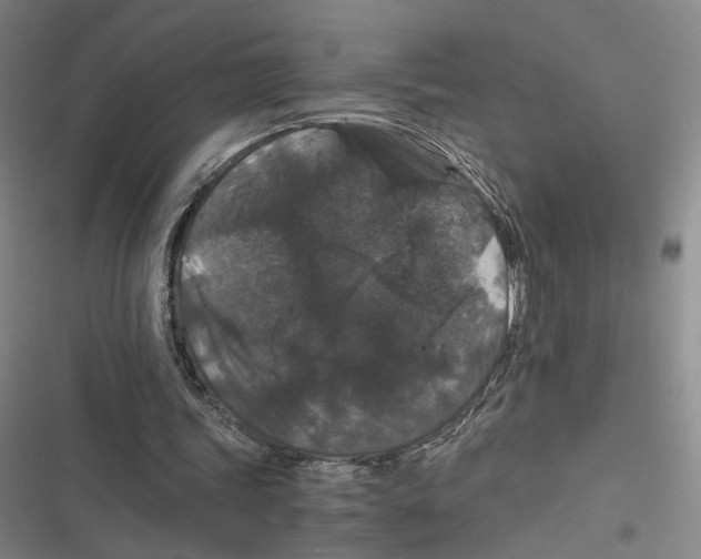 X0000116780339201001141516