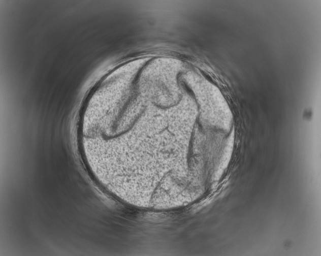 X0000116780341201001141516