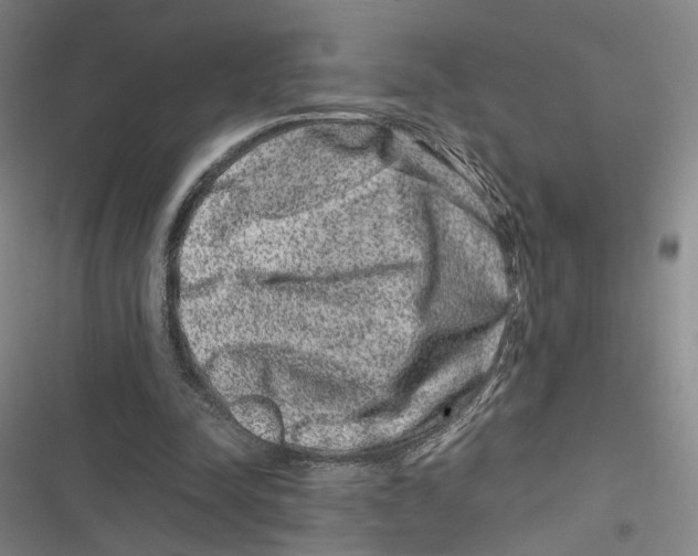 X0000116780342201001141516