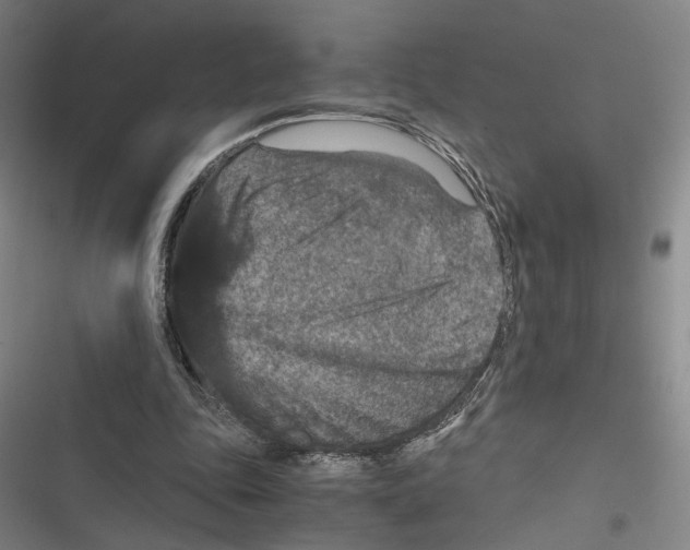 X0000116780343201001141516