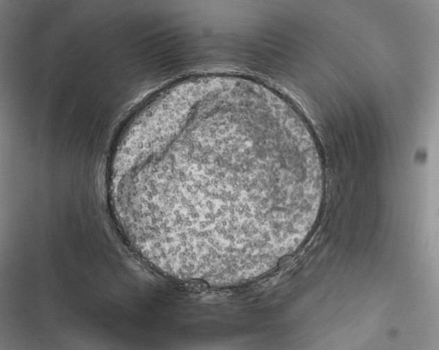 X0000116780345201001141516