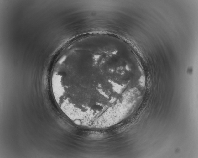 X0000116780347201001141516