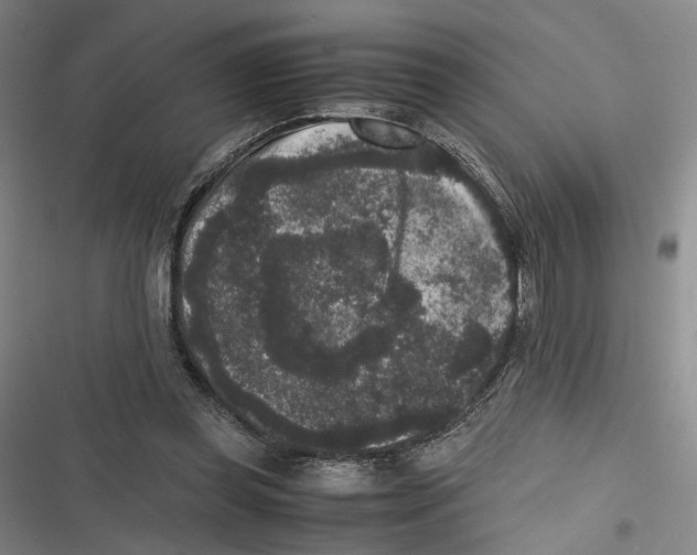 X0000116780349201001141516