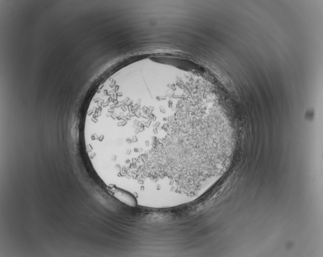 X0000116780350201001141516