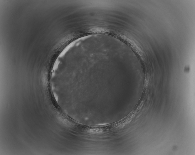 X0000116780353201001141516