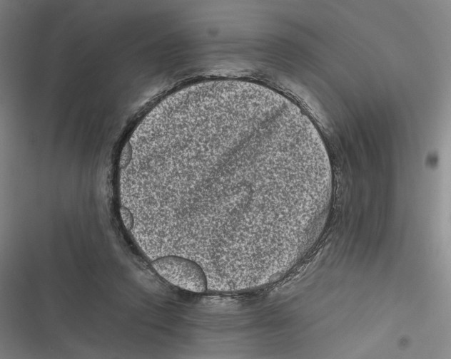 X0000116780354201001141516