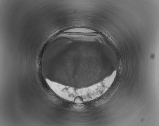 X0000116780355201001141516