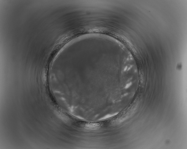 X0000116780357201001141516