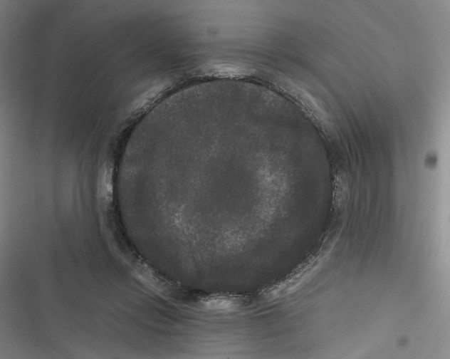 X0000116780358201001141516