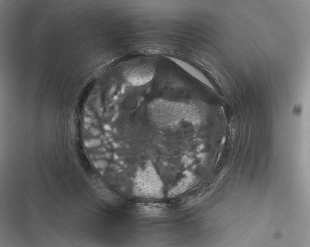 X0000116780359201001141516