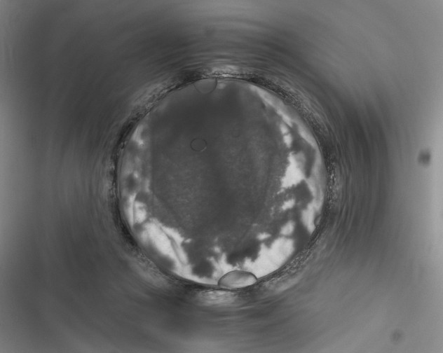 X0000116780361201001141516