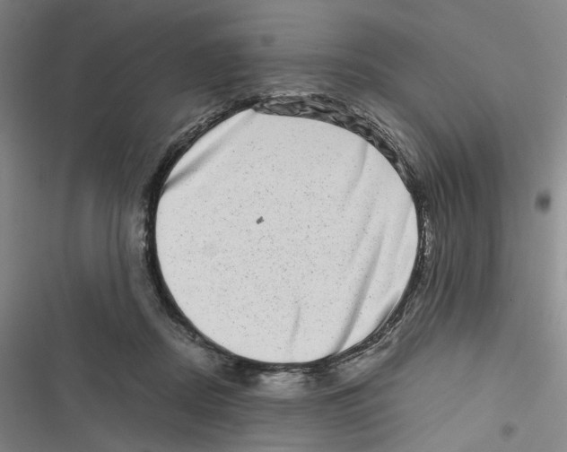 X0000116780362201001141516