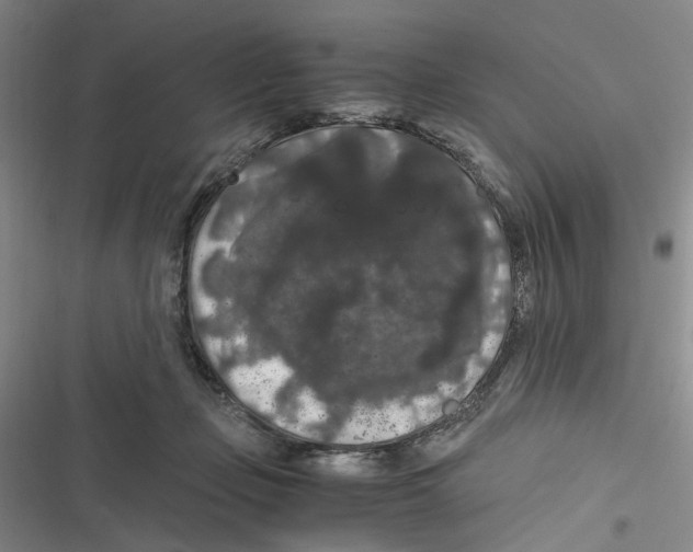 X0000116780365201001141516