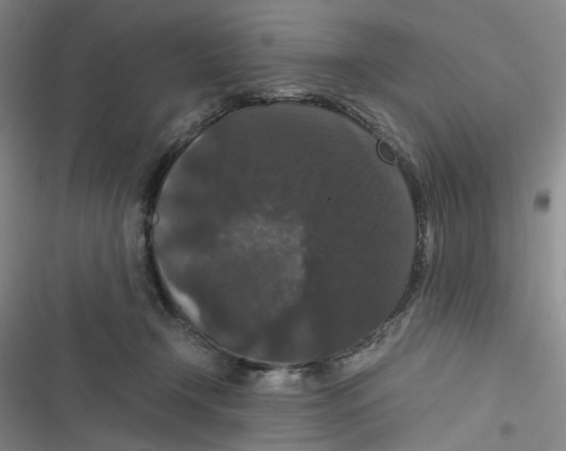 X0000116780366201001141516