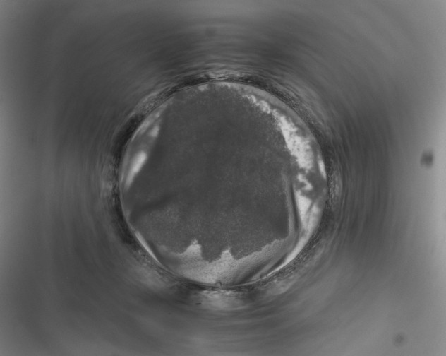 X0000116780367201001141516