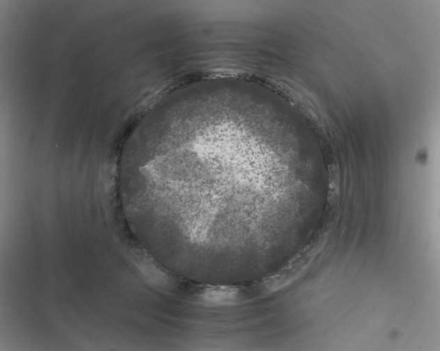 X0000116780369201001141516