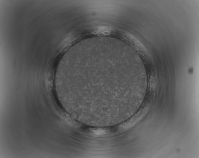 X0000116780370201001141516