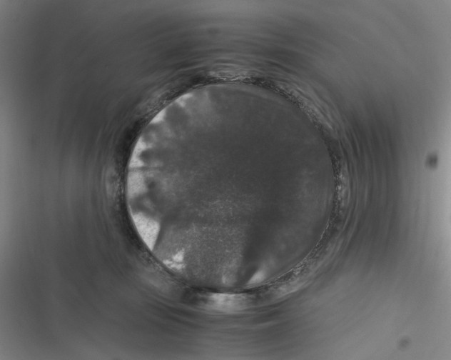 X0000116780371201001141516