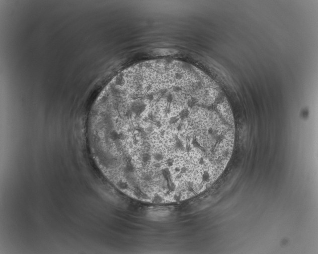 X0000116780373201001141516