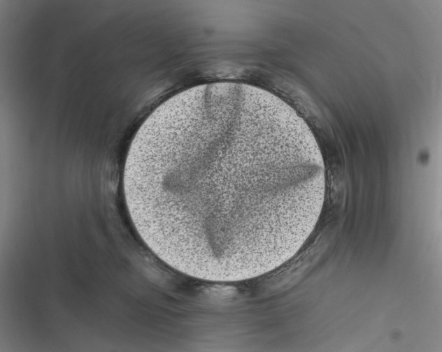 X0000116780374201001141516