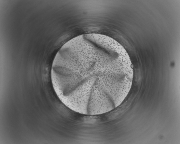 X0000116780378201001141517