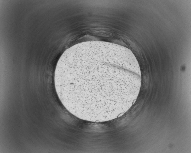 X0000116780379201001141517