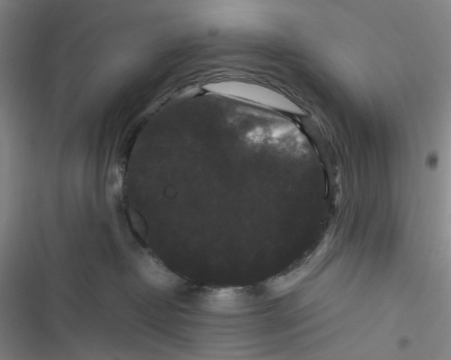 X0000116780382201001141517