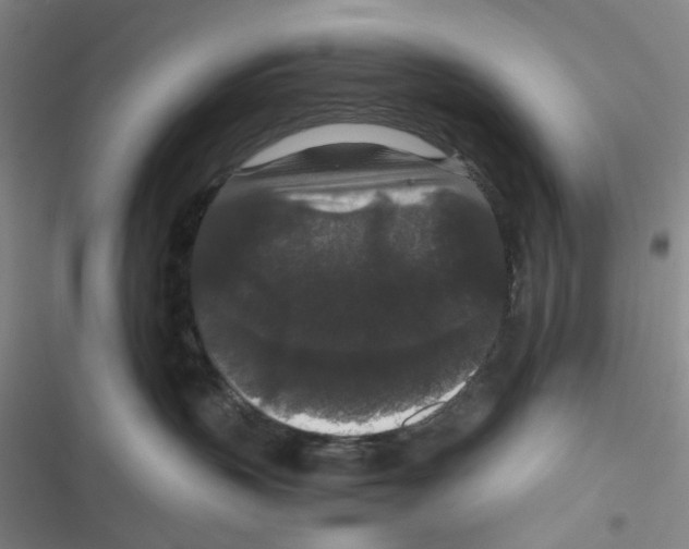 X0000116780383201001141517