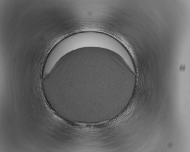 X0000116780385201001141516