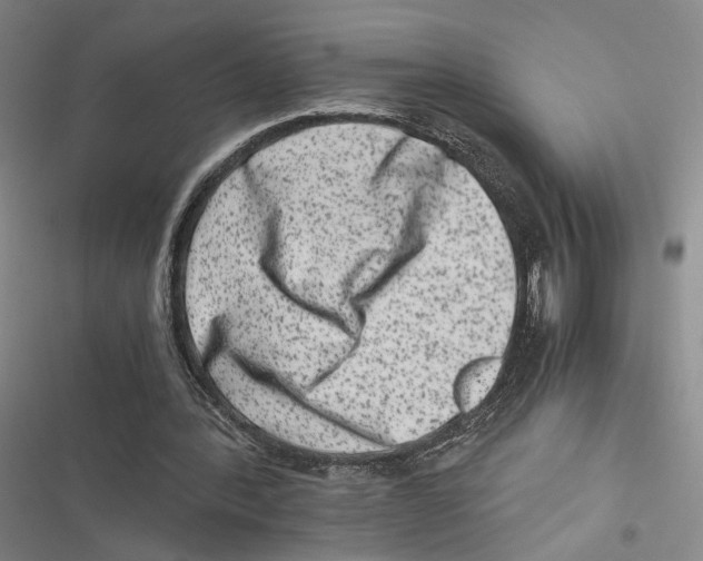 X0000116780388201001141516