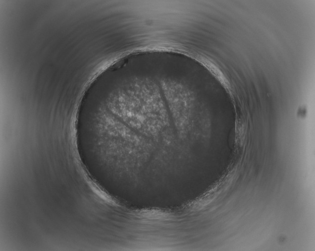 X0000116780389201001141516