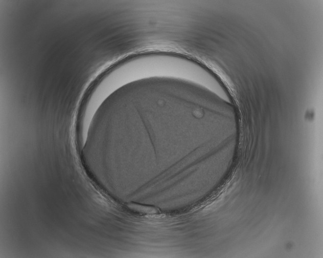 X0000116780391201001141516