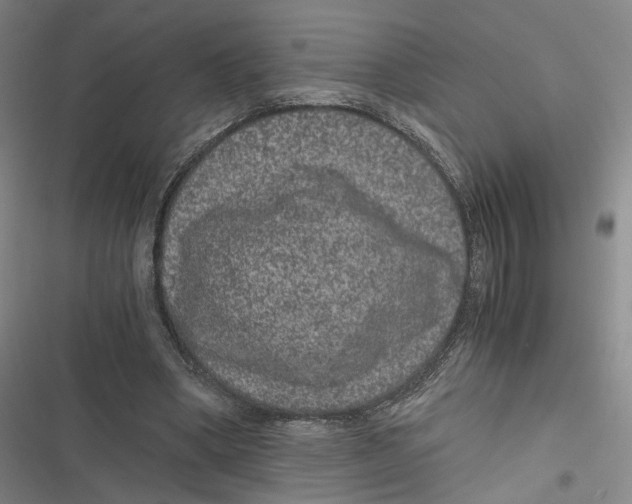 X0000116780394201001141516