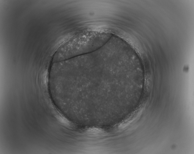 X0000116780397201001141516