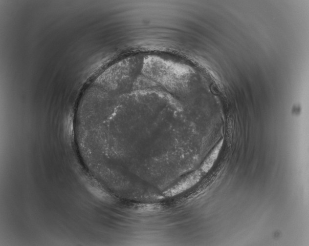 X0000116780398201001141516