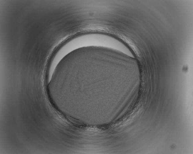 X0000116780399201001141516