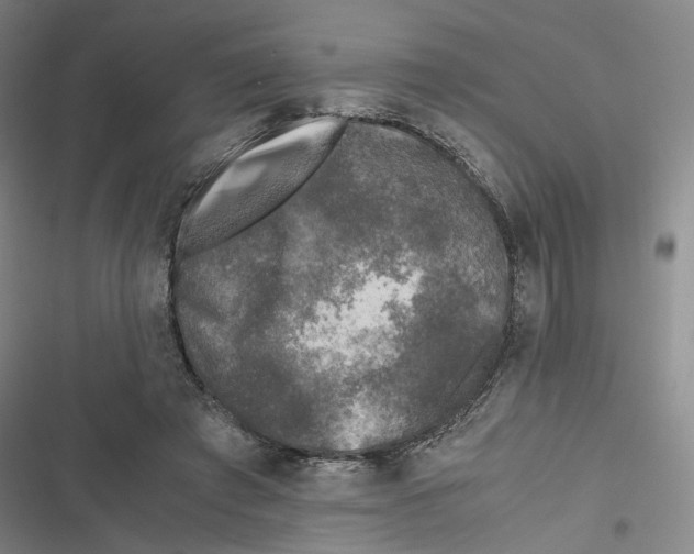 X0000116780401201001141516