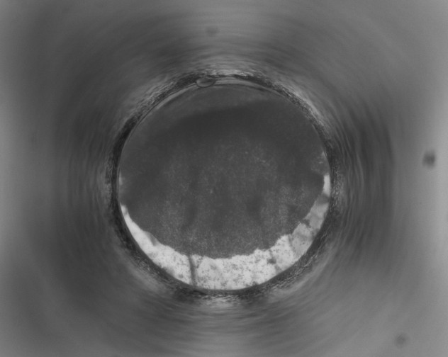 X0000116780402201001141516