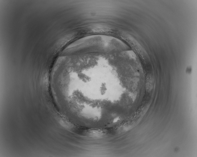 X0000116780405201001141516