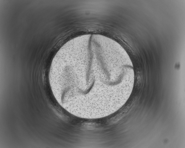 X0000116780408201001141516