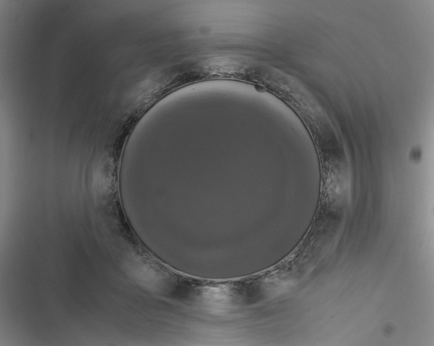 X0000116780411201001141516