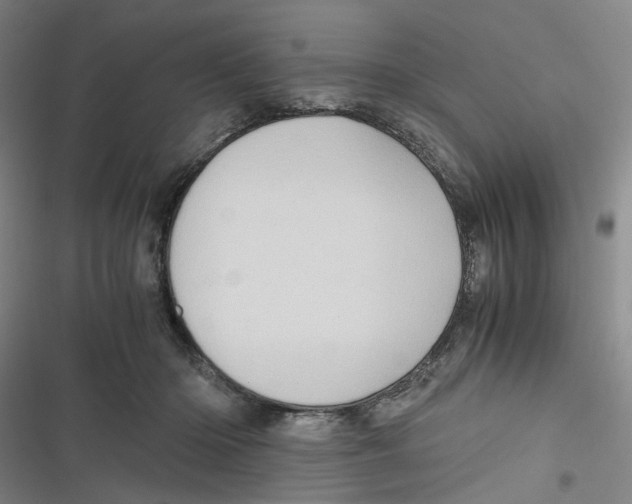 X0000116780414201001141516