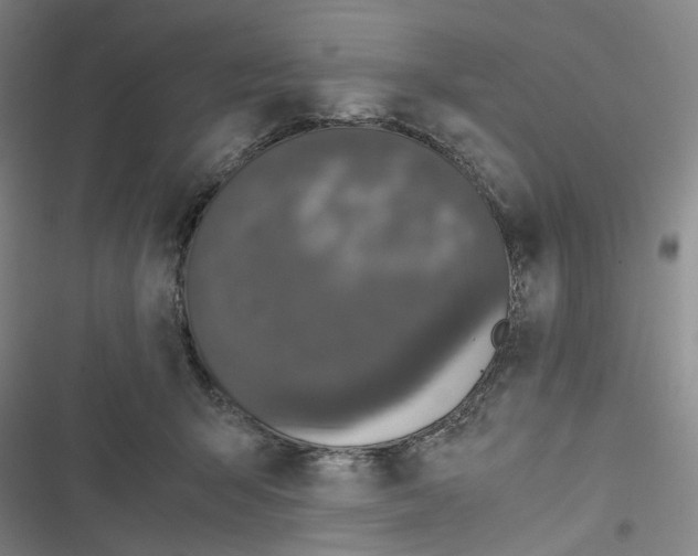 X0000116780415201001141516