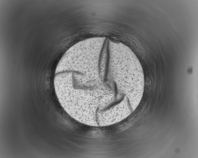 X0000116780416201001141516