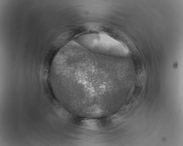 X0000116780417201001141516