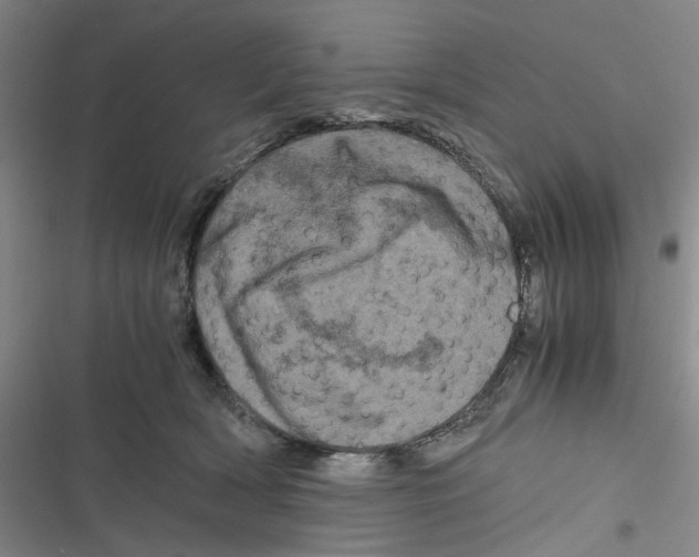 X0000116780418201001141516