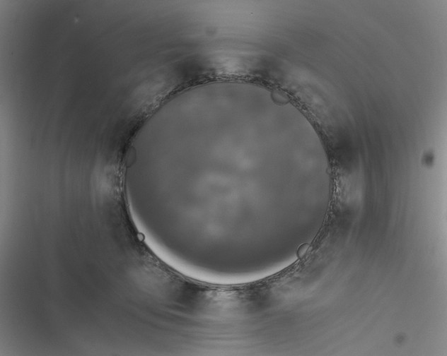 X0000116780419201001141516