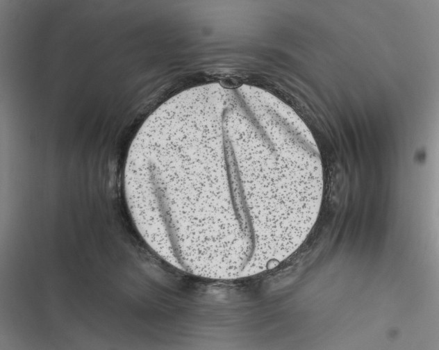 X0000116780420201001141515