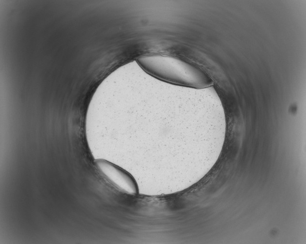 X0000116780421201001141515