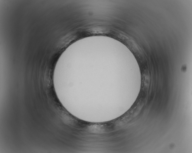 X0000116780422201001141515